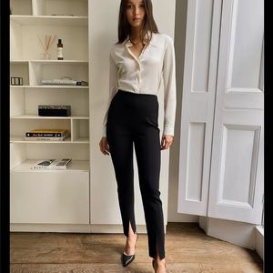 Aritzia Jotham Pants